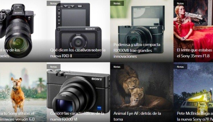 Aprender&aacute;s las t&eacute;cnicas m&aacute;s vanguardistas junto a los m&aacute;s de 25 Alpha Partners de Sony desde la comodidad de tu casa y lo m&aacute;s importante, en espa&ntilde;ol.