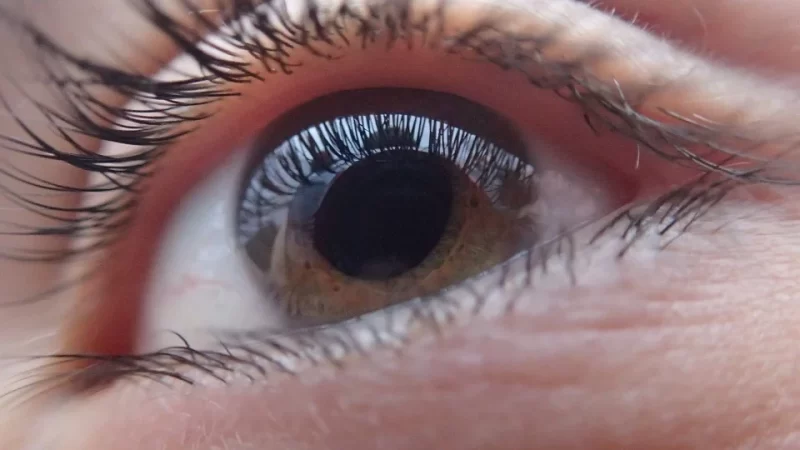 Para 2040 se estima que 111,8 millones de personas padecer&aacute;n de glaucoma a nivel mundial. Sin embargo, el reto recae en su efecto gradual, que en muchas ocasiones dificulta que el paciente se percate del cambio en su visi&oacute;n.
