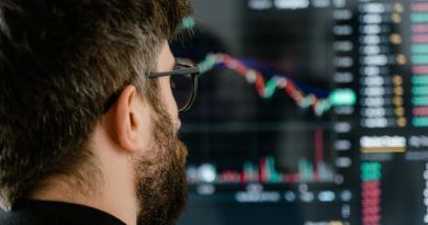 Ya se han creado más de 550 cadenas, aplicaciones y servicios en Polkadot y su red "canaria" Kusama, según PolkaProject. Este hito, permite teletransportar activos, como NFTs de una Blockchain a otra.