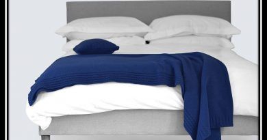 Cada noche todos convivimos con miles de bacterias, hongos, virus y hasta insectos alojados en nuestra cama.