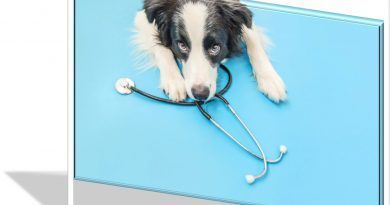Este servicio estará disponible a partir del 30 de noviembre y contará con profesionales de la salud veterinaria al servicio de los colombianos y sus mascotas. 4.4 millones de familias colombianas cuentan con al menos una mascota en su núcleo familiar.