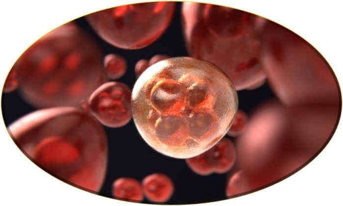 La braquiterapia de alta tasa de dosis es un procedimiento m&eacute;dico especializado para tratar el c&aacute;ncer, donde se emplea radiaci&oacute;n ionizante de manera directa, que act&uacute;a eliminando las c&eacute;lulas cancer&iacute;genas evitando que crezcan y se reproduzcan.