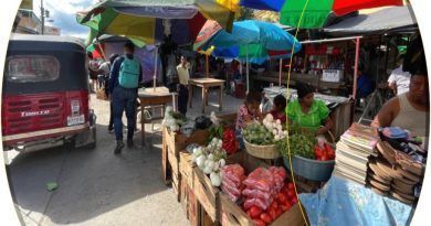 En el marco del nuevo Plan Nacional de Desarrollo que adelanta Colombia, el incremento de la productividad de las zonas rurales se destaca como medida para combatir la pobreza y el hambre.