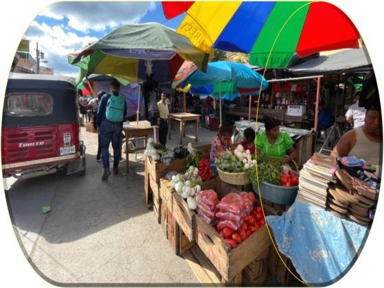 En el marco del nuevo Plan Nacional de Desarrollo que adelanta Colombia, el incremento de la productividad de las zonas rurales se destaca como medida para combatir la pobreza y el hambre.