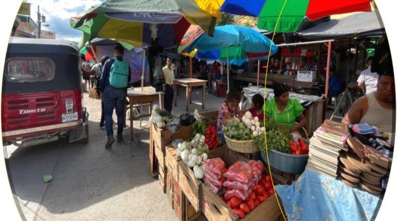 En el marco del nuevo Plan Nacional de Desarrollo que adelanta Colombia, el incremento de la productividad de las zonas rurales se destaca como medida para combatir la pobreza y el hambre.