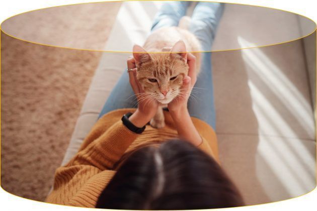 Una mascota tranquila vive más feliz en casa. Aquí te damos unos consejos para que brindes un espacio más armónico a tus compañeros de cuatro patas.