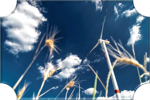 Prysmian Group celebr&oacute; la 2da versi&oacute;n de La Semana de la Sostenibilidad, con m&aacute;s 10 actividades donde se dieron a conocer las iniciativas que promueven las practicas sostenibles.