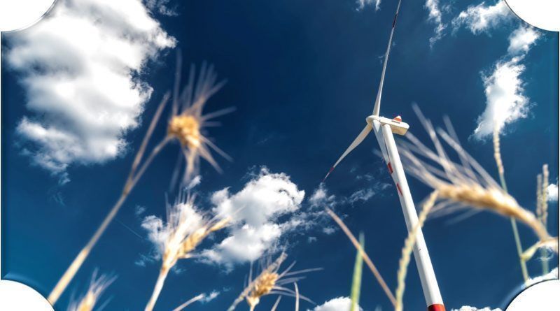 Prysmian Group celebró la 2da versión de La Semana de la Sostenibilidad, con más 10 actividades donde se dieron a conocer las iniciativas que promueven las practicas sostenibles.