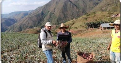Google.org se une con Grupo Éxito y la Fundación Salva Terra para apoyar a los campesinos en algunas zonas rurales del país, facilitando la comercialización de sus productos y promoviendo la inclusión social.