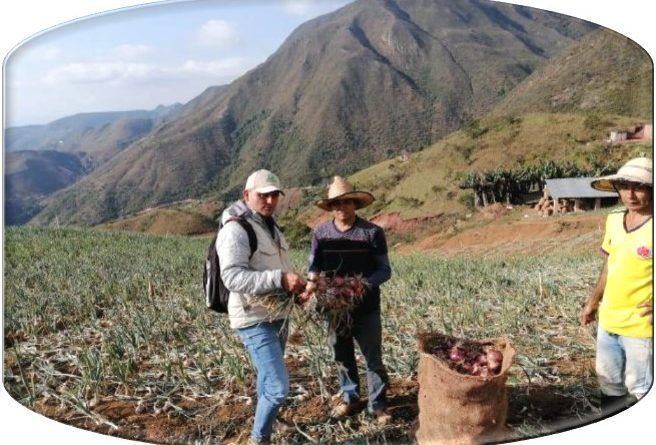 Google.org se une con Grupo Éxito y la Fundación Salva Terra para apoyar a los campesinos en algunas zonas rurales del país, facilitando la comercialización de sus productos y promoviendo la inclusión social.