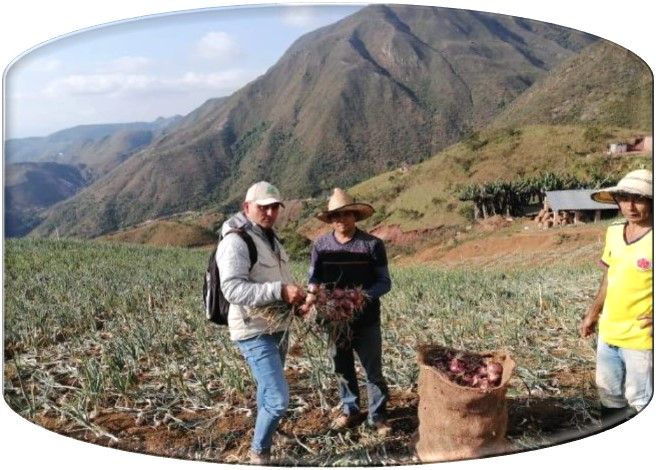 Google.org se une con Grupo &Eacute;xito y la Fundaci&oacute;n Salva Terra para apoyar a los campesinos en algunas zonas rurales del pa&iacute;s, facilitando la comercializaci&oacute;n de sus productos y promoviendo la inclusi&oacute;n social.