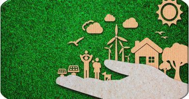 Además de ser una buena opción para inversiones financieras, los Bonos Verdes contribuyen al cuidado del medioambiente. Un repaso a sus oportunidades y retos en el mercado colombiano.