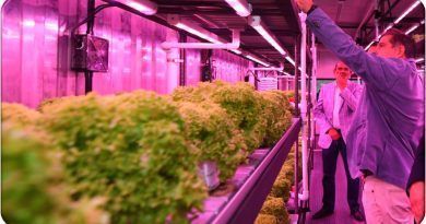 La creciente demanda de alimentos a nivel mundial y los desafíos ambientales que enfrentamos han llevado a la búsqueda de alternativas sostenibles en la agricultura.