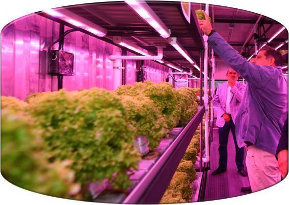 La creciente demanda de alimentos a nivel mundial y los desaf&iacute;os ambientales que enfrentamos han llevado a la b&uacute;squeda de alternativas sostenibles en la agricultura.