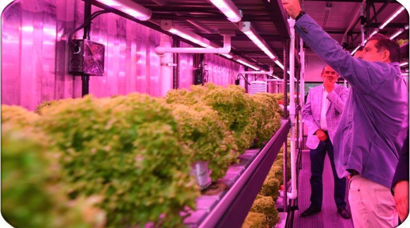 La creciente demanda de alimentos a nivel mundial y los desafíos ambientales que enfrentamos han llevado a la búsqueda de alternativas sostenibles en la agricultura.