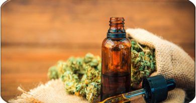 Pese a un desaceleramiento en la industria del cannabis medicinal, en Colombia esta se encuentra cada vez más regulada, garantizando un equilibrio entre brindar acceso a tratamientos efectivos y mantener altos estándares de seguridad y control.