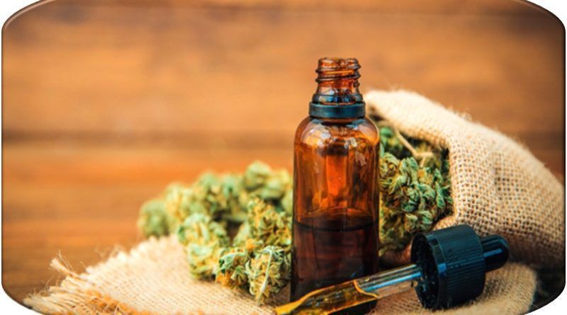 Pese a un desaceleramiento en la industria del cannabis medicinal, en Colombia esta se encuentra cada vez más regulada, garantizando un equilibrio entre brindar acceso a tratamientos efectivos y mantener altos estándares de seguridad y control.
