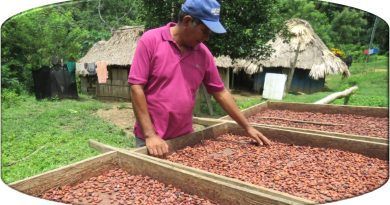 Trabajar con productores de cacao de diferentes zonas del país, es la apuesta de Legado para mejorar sus condiciones de vida y brindar experiencias colmadas de sabor con cacao 100% colombiano.