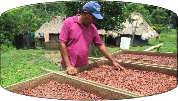 Trabajar con productores de cacao de diferentes zonas del pa&iacute;s, es la apuesta de Legado para mejorar sus condiciones de vida y brindar experiencias colmadas de sabor con cacao 100% colombiano.