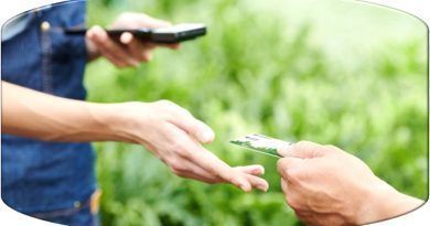Bancos y operadores móviles lideran la transformación ecológica en respuesta a la creciente demanda global. Grandes inversiones y nuevas tecnologías marcan el camino hacia un futuro sostenible.