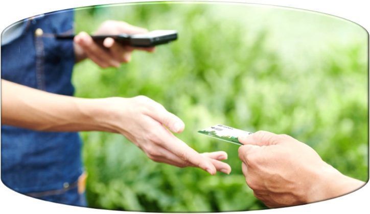 Bancos y operadores móviles lideran la transformación ecológica en respuesta a la creciente demanda global. Grandes inversiones y nuevas tecnologías marcan el camino hacia un futuro sostenible.