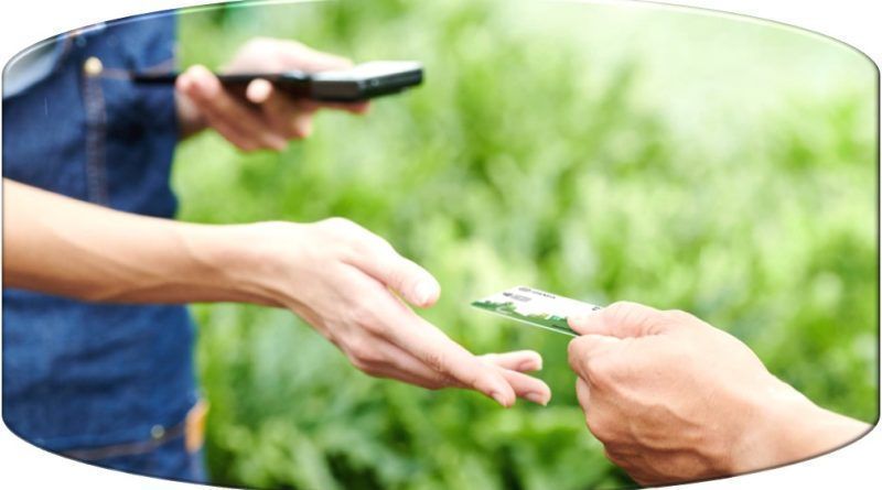 Bancos y operadores móviles lideran la transformación ecológica en respuesta a la creciente demanda global. Grandes inversiones y nuevas tecnologías marcan el camino hacia un futuro sostenible.