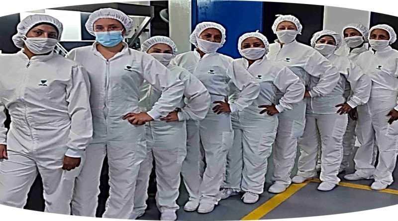 La certificación SA8000, una norma de carácter voluntario, contiene las directivas más detalladas sobre condiciones laborales e incluye muchos aspectos contemplados en las declaraciones de los derechos internacionales de los trabajadores.