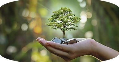 A la fecha, el país cuenta con 114 empresas B, aquellas que certifican el cumplimiento de estándares de desempeño social y ambiental, transparencia y responsabilidad legal.