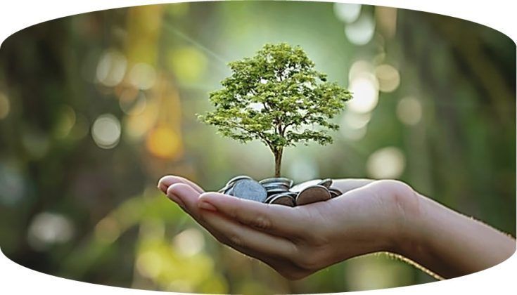A la fecha, el pa&iacute;s cuenta con 114 empresas B, aquellas que certifican el cumplimiento de est&aacute;ndares de desempe&ntilde;o social y ambiental, transparencia y responsabilidad legal.