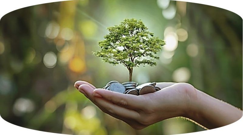 A la fecha, el país cuenta con 114 empresas B, aquellas que certifican el cumplimiento de estándares de desempeño social y ambiental, transparencia y responsabilidad legal.