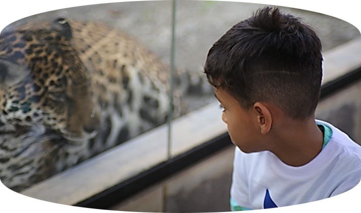 Alejandro Ortiz de 9 a&ntilde;os,&nbsp;pudo conocer animales salvajes, en especial, el guepardo.
