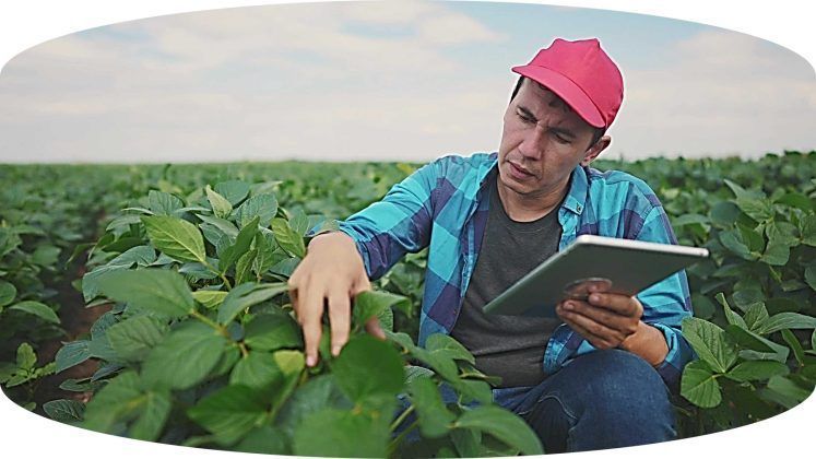 De los 50 millones de habitantes que tiene Colombia, cerca de 12 millones viven en entornos rurales, lo que representa un enorme reto para los diferentes planes de desarrollo en el campo.