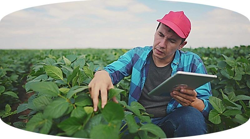De los 50 millones de habitantes que tiene Colombia, cerca de 12 millones viven en entornos rurales, lo que representa un enorme reto para los diferentes planes de desarrollo en el campo.
