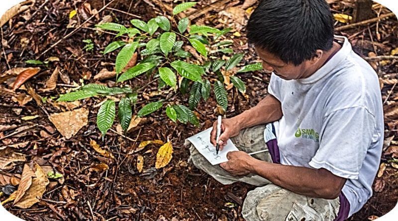 Cabify, la empresa Iberoamericana de movilidad conectada, anuncia la creación de la Fundación Cabify, un paso adicional en su compromiso medioambiental, social y tecnológico con el objetivo de impactar más allá de la movilidad.