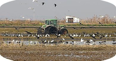 La búsqueda de beneficios ya no está reñida con la sostenibilidad ambiental. La inteligencia artificial (IA) está cerrando rápidamente la brecha entre las dos partes, acelerando la escala y el ritmo de las soluciones de sostenibilidad necesarias para abordar el empeoramiento de la crisis climática.