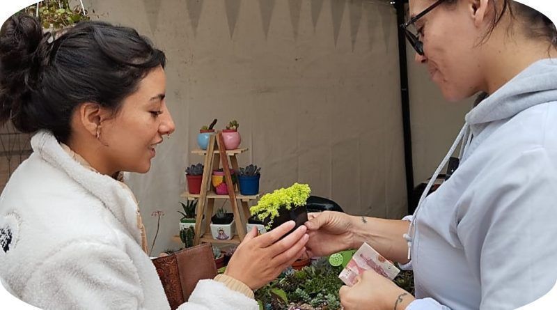 Con talleres gratuitos e interactivos se busca capacitar a la comunidad sobre prácticas agrícolas sostenibles como la elaboración de huertas caseras y de productos orgánicos para multiplicar los saberes, el bienestar de las personas y el cuidado del planeta.