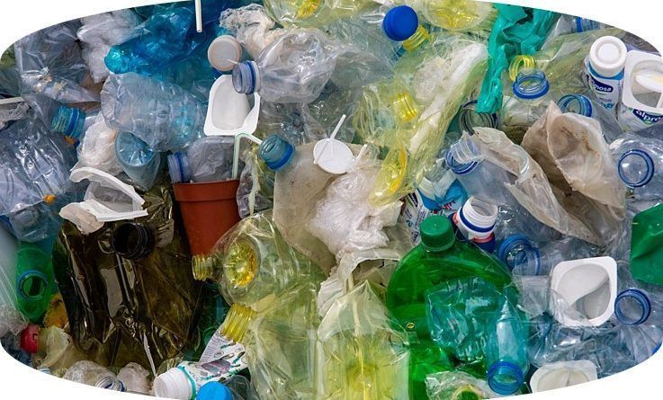 Desde los años 50 la humanidad ha utilizado cerca de 8,3 mil millones de toneladas de plásticos en todo el mundo, solo el 9% han sido recicladas y el 45% han quedado en ecosistemas afectando la biodiversidad y la salud pública.