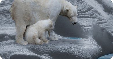 Con líneas de investigación y diplomados enfocados en la reducción del impacto ambiental, la Universidad de América fortalece sus planes en materia de sostenibilidad.