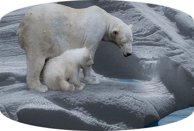 Con l&iacute;neas de investigaci&oacute;n y diplomados enfocados en la reducci&oacute;n del impacto ambiental, la Universidad de Am&eacute;rica fortalece sus planes en materia de sostenibilidad.