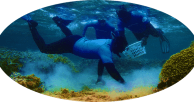 Samsung se une a iniciativas globales para restaurar arrecifes de coral, colaborando con expertos y comunidades locales en la preservación de ecosistemas marinos vitales.