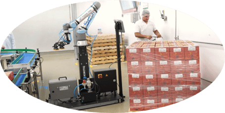 Griffith Foods implementa un Co-Bot en su planta, optimizando procesos, aumentando la eficiencia y mejorando la seguridad laboral de sus empleados.