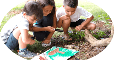 La falta de conectividad en las zonas rurales de Colombia sigue siendo un obstáculo para el acceso a una educación de calidad. Análisis sobre los retos y las soluciones que buscan mejorar la conectividad en las instituciones educativas rurales.